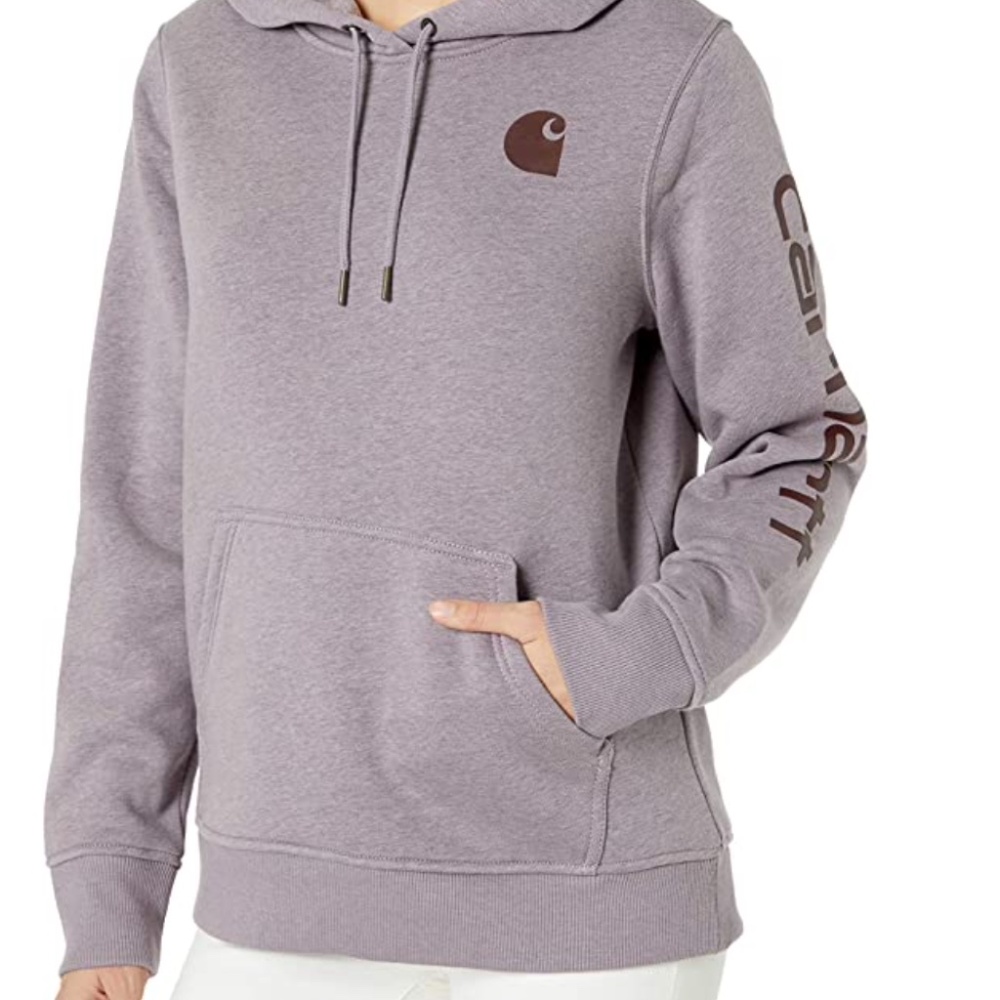 Carhartt Women's Regular Clarksburg Sleeve Logo Hooded Sweatshirt